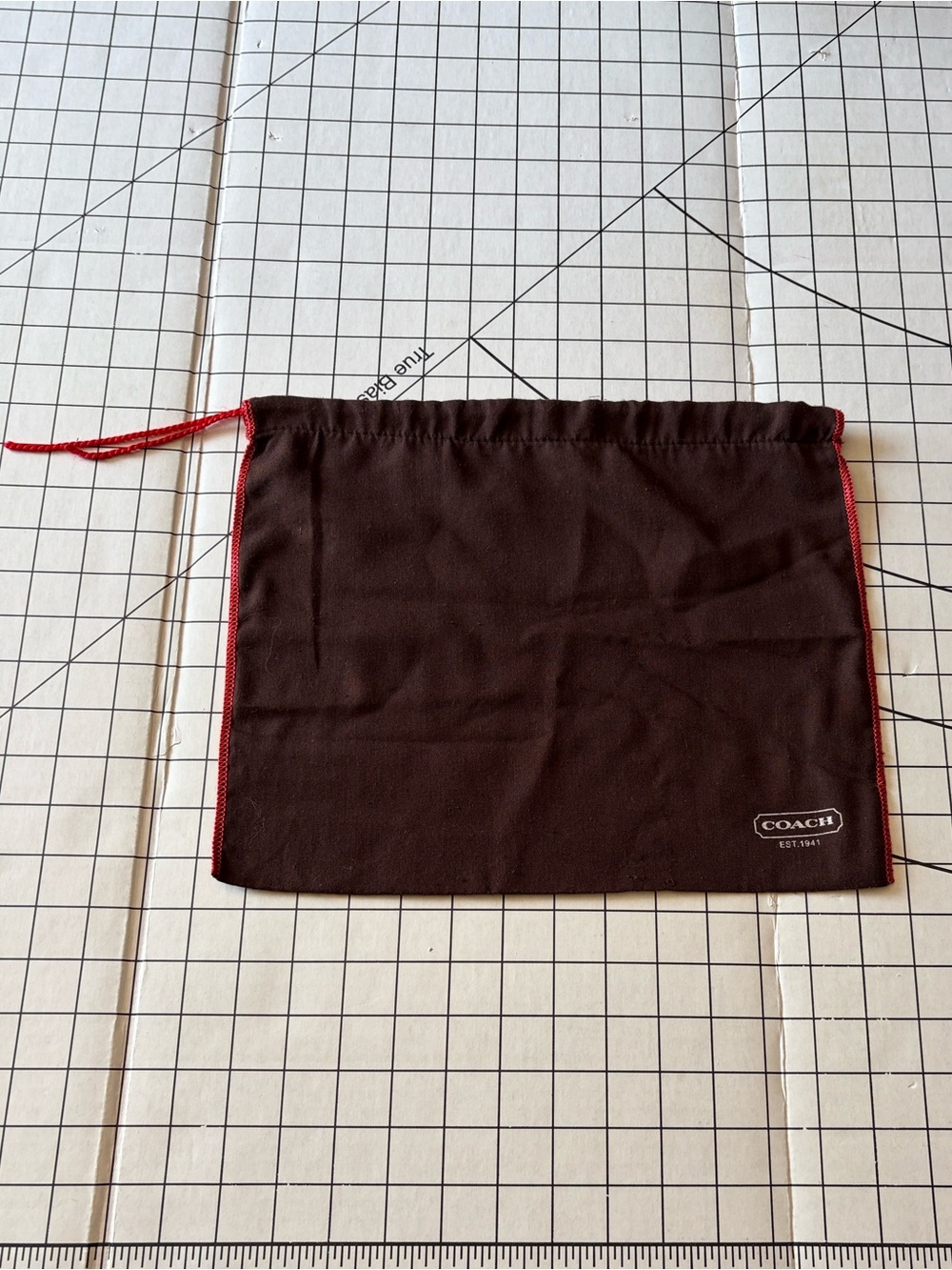Coach Brown Dust Cover Bag Shoe Purse Protector Red Drawstring
#1 of 2